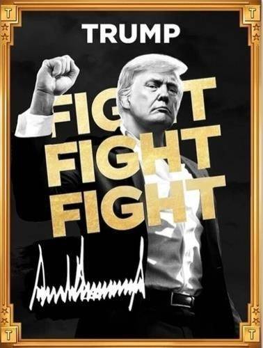 오피셜트럼프 밈코인 이미지. 도널드 트럼프 X 갈무리.