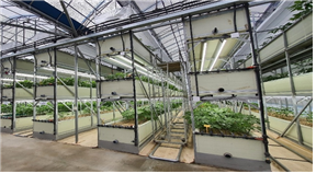 다단식 인삼 재배시설. 농촌진흥청