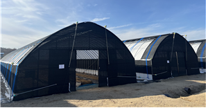 인삼 재배용 이중구조 하우스. 농촌진흥청