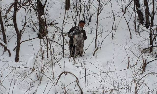 ▲ 산양 구조작업 모습. 2024-03-07 사진/양구 산양·사향노루센터 제공