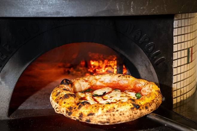 서울 마포구 ‘카밀드’의 마르게리타 피자. 화덕에서 굽는 나폴리 피자다. /이건송 영상미디어 기자