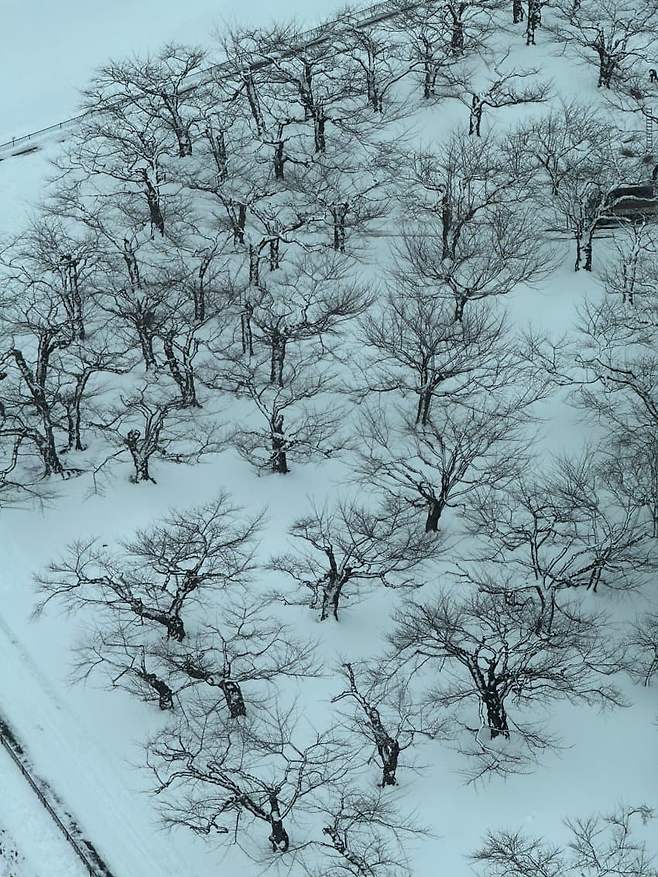 7f9e8672b3841ef223ecf0e3359c7019c69f96e274f23fa4310403bda6f7e2aabc557ede0a7be93e8f77128f156ce4fade68c90344