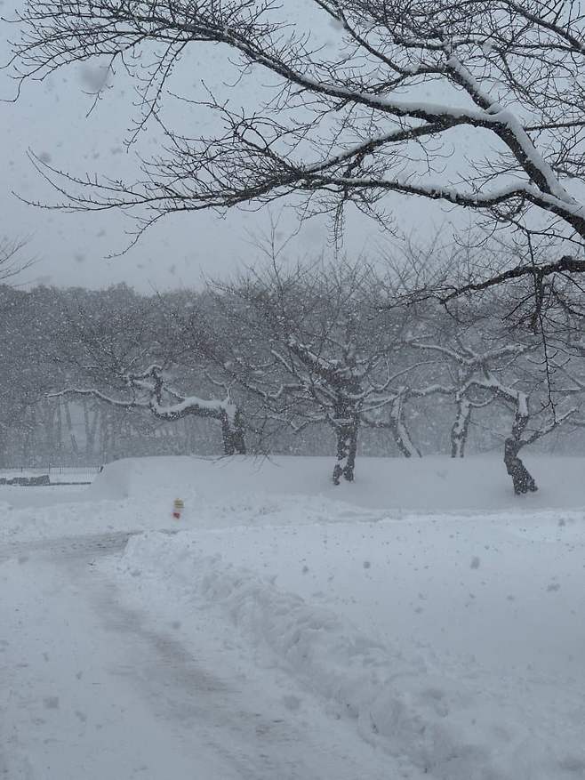 0fe98302b78669f223ecf3e5429c706d7cd6183d87ec4427b4a6a00348939232925d007a961d705e0f00e856a31f942864059dbb50