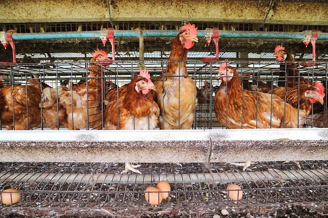 기사와 사진은 무관합니다. 사진=게티이미지뱅크