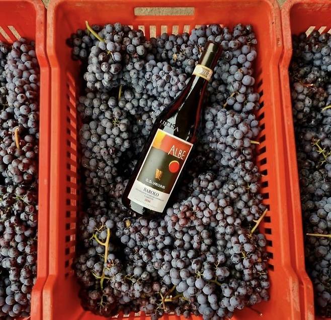 '지디 바이라 바롤로 알베(G.D. Vajra Barolo DOCG Albe)'