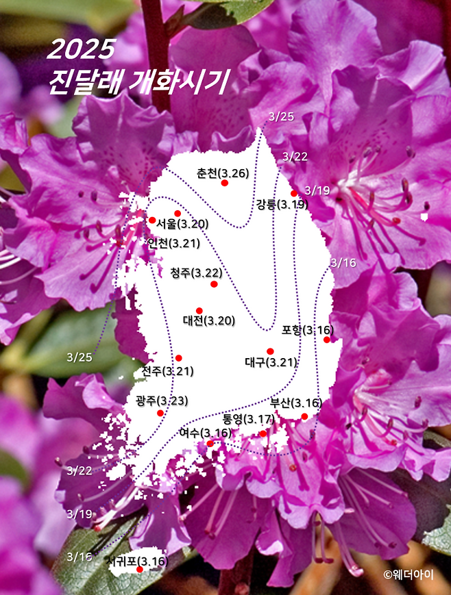 사진 = 웨더아이