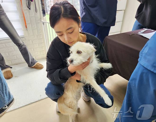 김효진 도그어스플래닛 대표가 구조견 메이를 안고 있다 ⓒ 뉴스1 한송아 기자