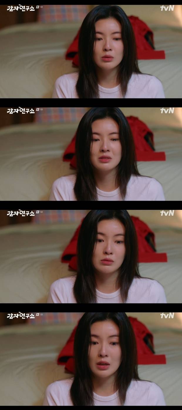 티브이데일리 포토