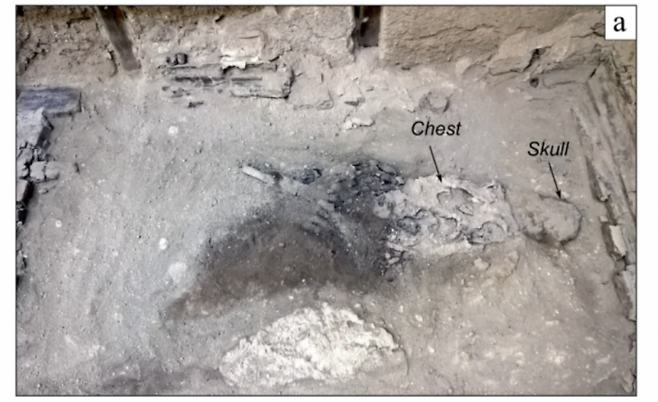 유리화된 뇌 조직이 발견된 베수비오 화산 폭발 희생자의 유골. 사진 출처 Guido Giordano