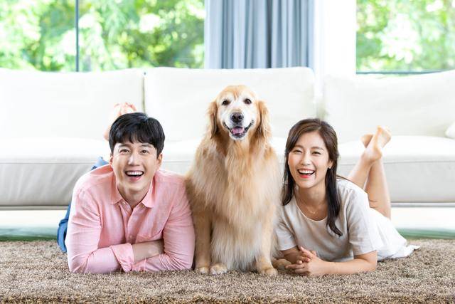 개는 생태학적, 공중보건학적으로 동물과 사람 양쪽에 위해가 없다는 사실이 과학적으로 입증된 동물이다. 이런 동물들을 정리해 '키워도 된다'는 목록을 작성하는 게 화이트리스트 제도의 취지다. 게티이미지뱅크 *이해를 돕기 위한 자료 사진입니다.