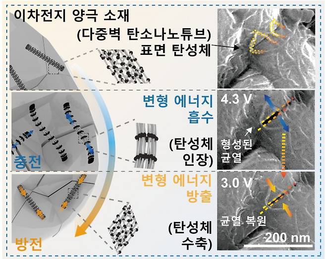 이차전지 양극재에 탄소나노튜브를 도입해 균열이 복원되는 과정을 나타낸 모식도. 포스텍 제공