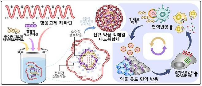 고형암 치료용 나노복합체(HepDL)의 연구 도식. (사진=경희대 제공) *재판매 및 DB 금지