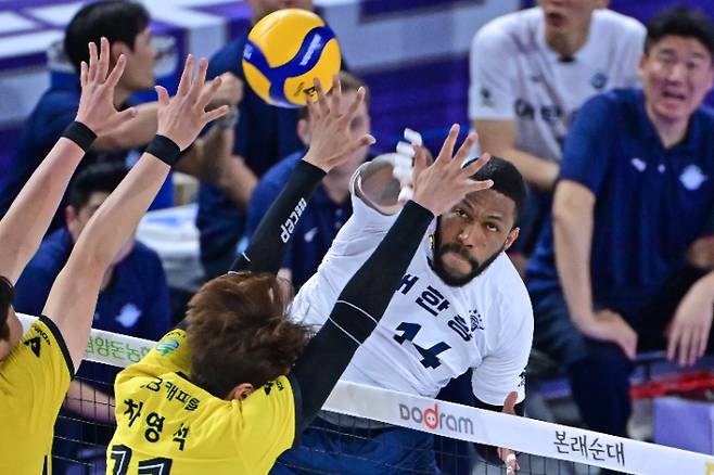 2위 경쟁하는 대한항공-KB손해보험. 한국배구연맹