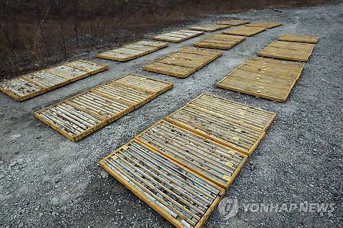 시추된 양양 철광 암석 (양양=연합뉴스) 이종건 기자 = 광물 가격 상승으로 지난 1995년 문을 닫은 양양 철광을 재가동하는 작업이 본격적으로 시작돼 지역주민들의 이목이 쏠리고 있다. 양양 철광에서는 지난해 시추작업에서 희토류가 일부 발견된 것으로 알려져 관련 업계의 관심을 끌고 있다. 사진은 광물자원공사가 지난해 실시한 양양 철광 시추작업에서 시추해 놓은 암석들. 2011.1.24 momo@yna.co.kr