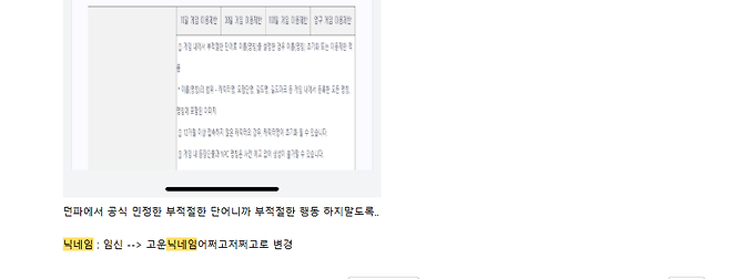 14689.png 던전앤파이터 "임신" 닉네임 부적절 조치 논란
