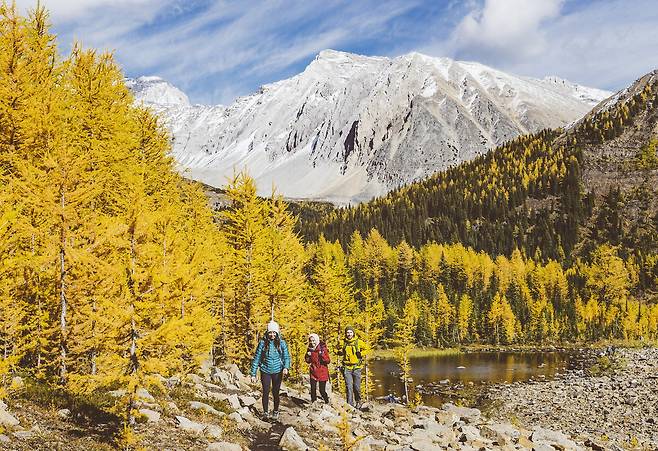 카나나스키스 트레킹