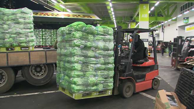 밤이 깊었지만, 서울 가락동농수산물시장에서는 전국 각지에서 온 배추를 내리는 작업으로 분주하다.