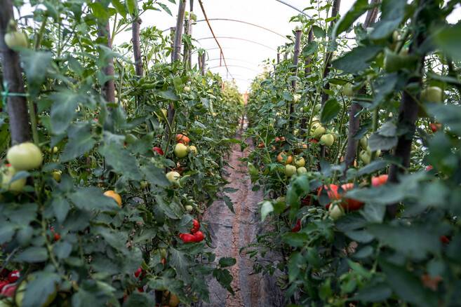 게티이미지뱅크