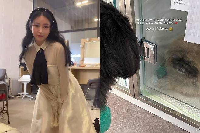 소연 소셜네트워크서비스 계정