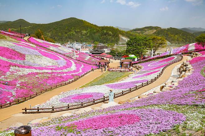 산청 생초국제조각공원 꽃잔디 축제장(산청군 제공. 재판매 및 DB금지).