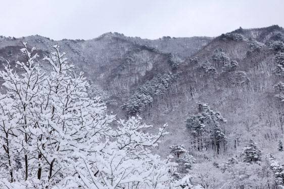 17일 강원 양양군 서면 서림리 마을회관 인근에 많은 눈이 쌓여 있다.(사진=연합뉴스)