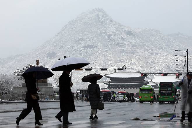 대설주의보가 발효된 18일 서울 세종대로사거리에서 시민들이 우산을 쓰고 횡단보도를 건너고 있다. /연합뉴스