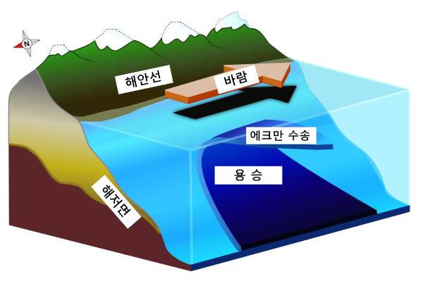 냉수대를 일으키는 연안 용승 모식도. 위키피디아