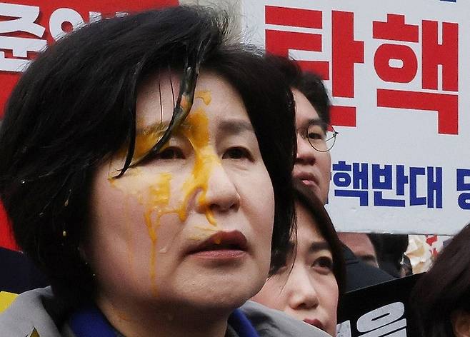 백혜련 더불어민주당 의원 / 사진=연합뉴스