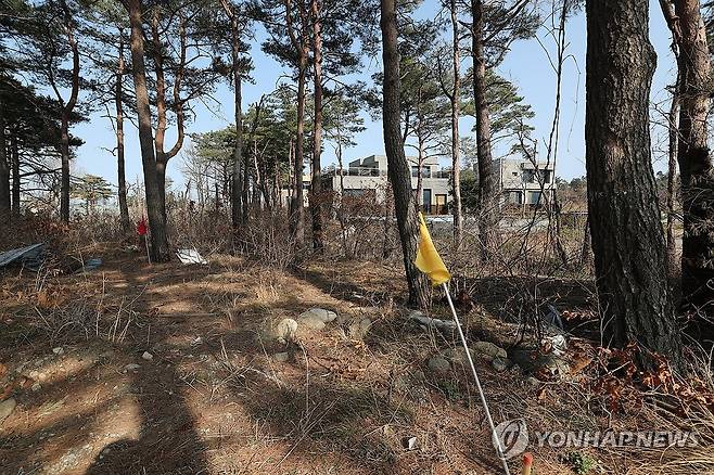 타운하우스 단지 옆에 꽂힌 노선 깃발 (강원 고성=연합뉴스) 강태현 기자 = 지난 17일 강원 고성군 토성면 원암리 한 타운하우스 단지 옆 소나무 숲에 춘천∼속초 동서고속화철도 8공구 노선 지점이 표시된 깃발이 꽂혀 있다.
이 타운하우스가 조성된 땅의 소유주는 토지수용보상금 30억원 중 10%를 떼어주겠다며 실시설계 용역회사 소속 노선 설계 담당자에게 '노선 변경'을 청탁하고 2억원을 건넨 사실이 발각돼 처벌받았다. 2025.3.20 taetae@yna.co.kr