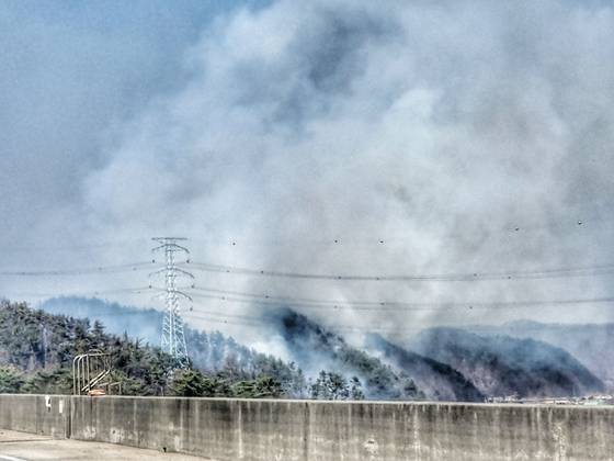 22일 울산 울주군에서 발생한 산불. 사진 소방청