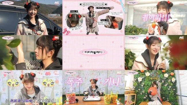 사진=채널 ‘따라해볼레이 by섭씨쉽도’ 제공