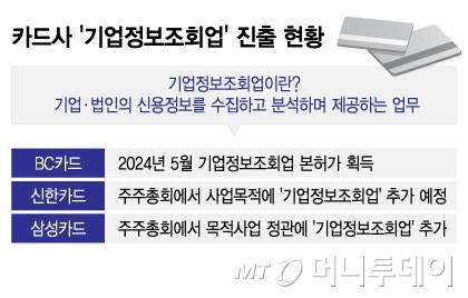 카드사 '기업정보조회업' 진출 현황/그래픽=이지혜