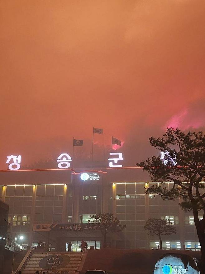 청송 군청 바로 뒤까지 온 산불./독자 제공