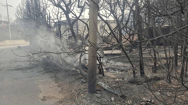 26일 경북 영덕군 영덕읍의 한 도로가에 불씨가 남아 타고 있다. 주성미 기자