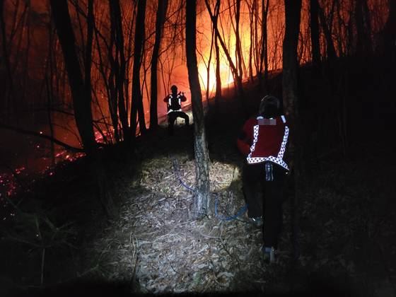 경남의 한 지자체 산불전문예방진화대원들이 산불 현장에서 불을 끄고 있다. 사진 독자