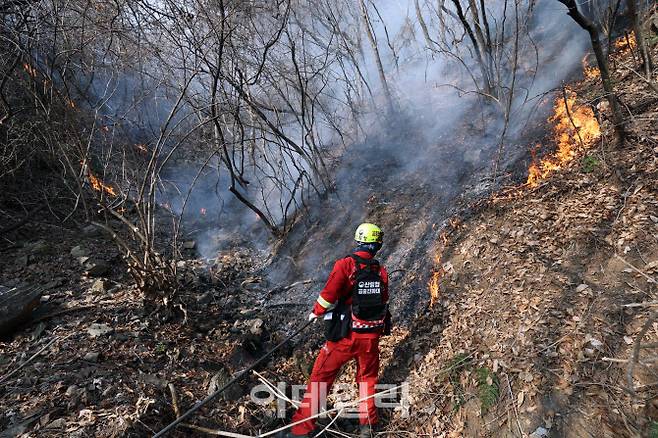 경남 산청군 시천면 일대에서 산림청 공중진화대원들이 산불을 진화하고 있다.(사진=이영훈 기자)