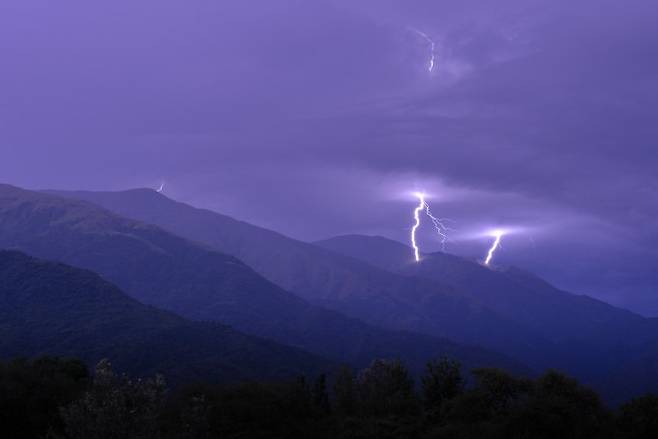 산에 번개가 치는 모습. 일반적으로 번개를 맞은 나무는 내부 조직이 파괴되는 등 생명활동에 지장이 생겨 고사하는 경우가 많다. 매년 수억 그루의 나무가 낙뢰로 인해 죽는 것으로 알려졌다. 게티이미지뱅크 제공