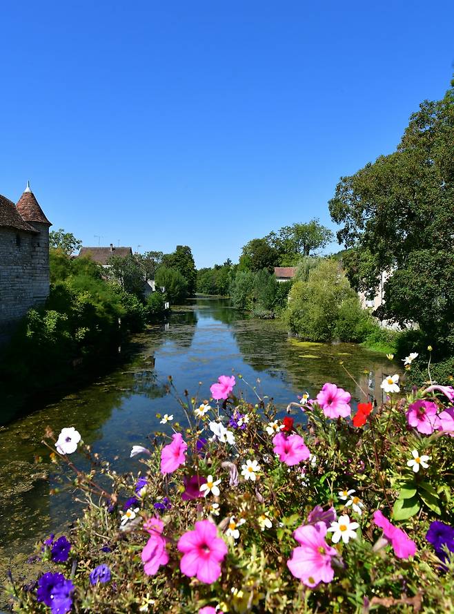 샤블리 마을 세렌강. 최현태 기자