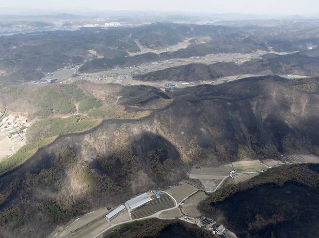 30일 주불 진화가 완료된 경북 안동시 남후면 일대 산들이 까맣게 타 있다. 멀리 안동 시내가 보인다. 연합뉴스