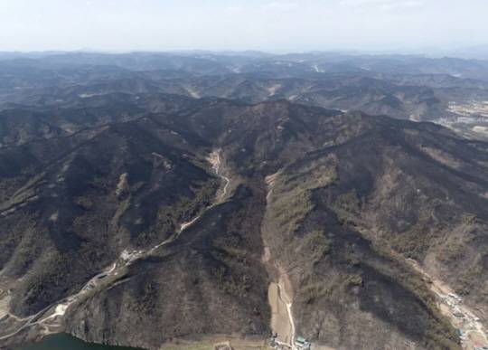 29일 경북 의성군 단촌면과 안동시 일직면 일대 산림이 까맣게 타 있다. 연합뉴스.
