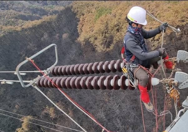 송전선로에 있는 손상된 애자를 교체하는 모습. 한전 제공