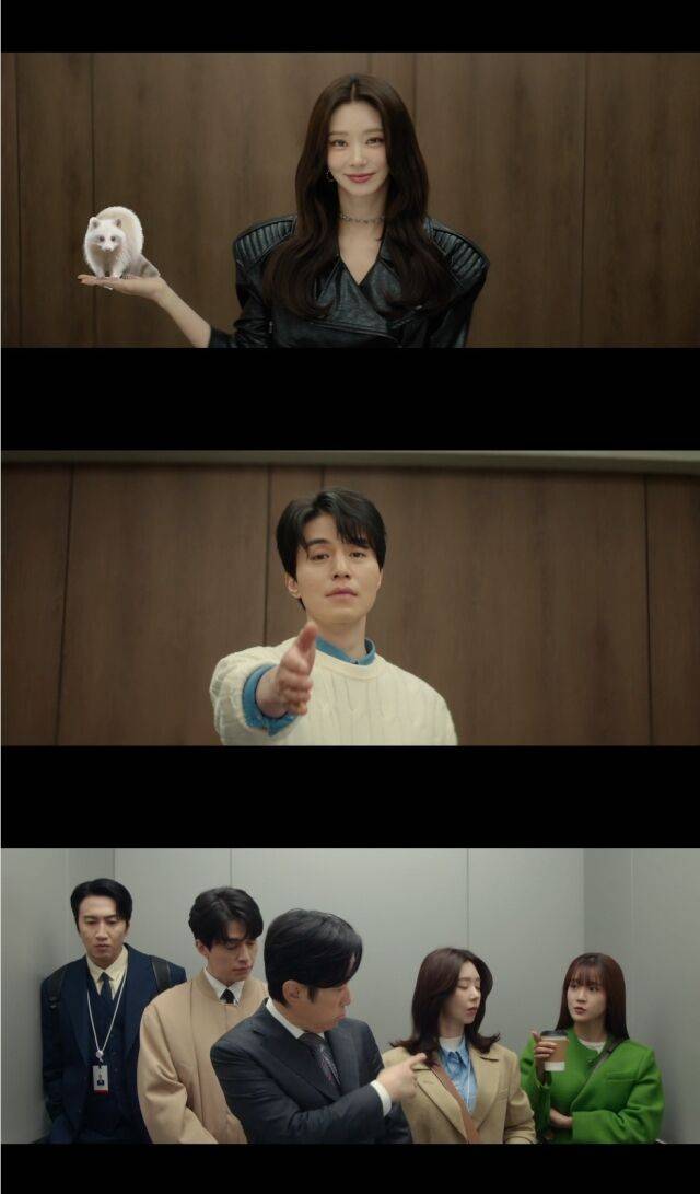 배우 이주빈, 이동욱 / tvN '이혼보험'