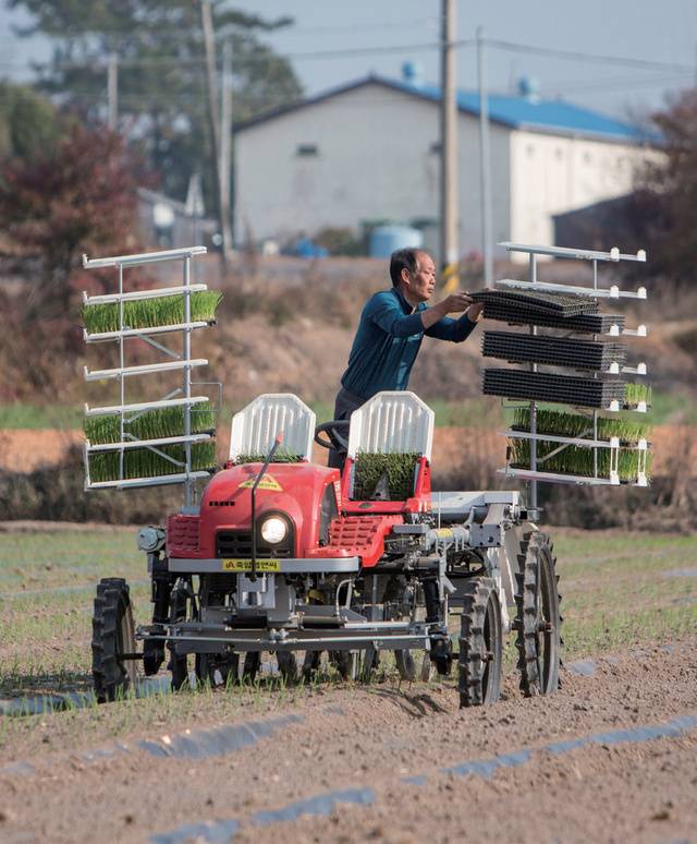 정식기를 활용해 양파 모종을 심는 김씨.