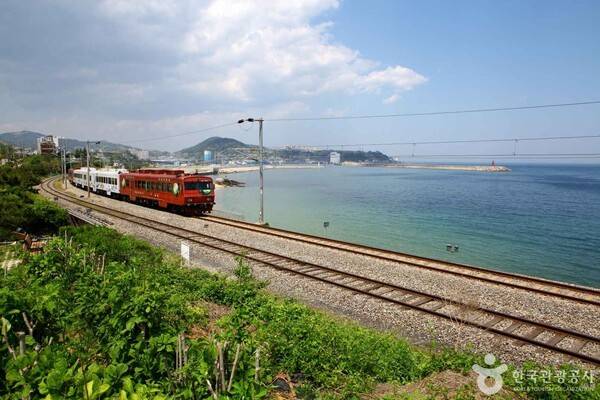 동해 바다열차 (출처 = 한국관광공사 포토코리아-이범수)