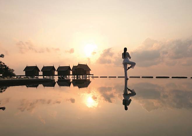 마음 힐링, 추억, 건강 등 내 추구하는 바에 딱 부합하는 것에만 집중 투자하는 요노족이 늘고 있다.