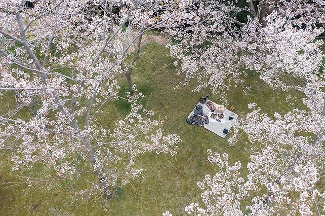 산책로 풍경 / 사진=WE호텔제주