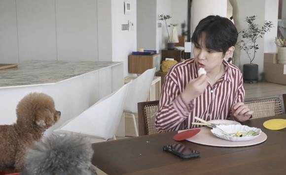 혼자 살고 있는 미혼 스타들의 일상을 소개하는 예능 프로그램 ‘나 혼자 산다’의 한 장면. MBC ‘나 혼자 산다’ 캡처