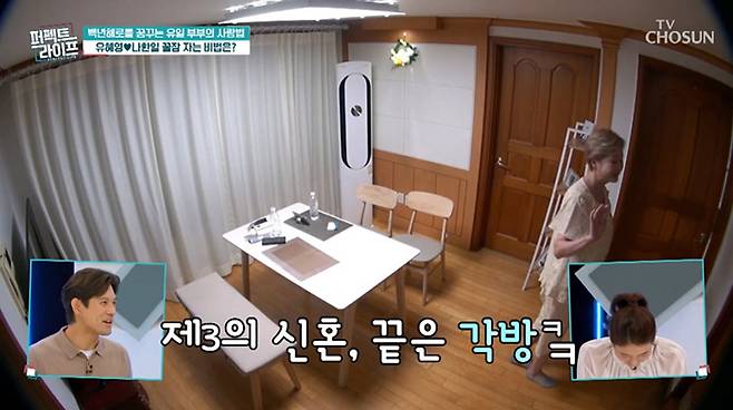 TV조선 ‘퍼펙트 라이프’