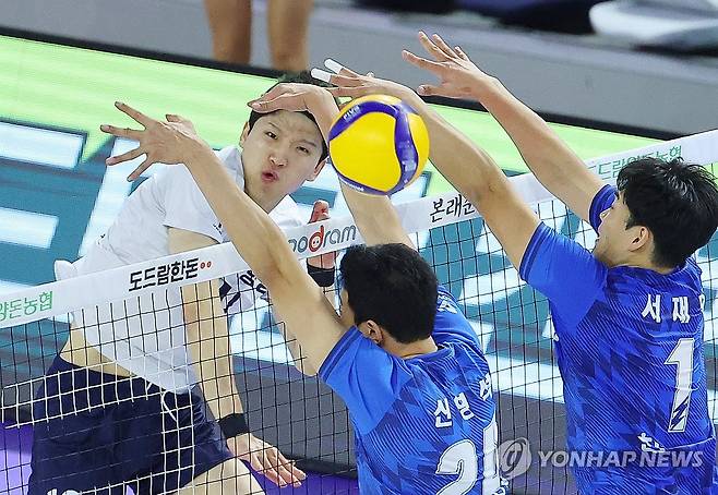 정지석 '강스파이크' (인천=연합뉴스) 임순석 기자 = 21일 인천 계양체육관에서 열린 프로배구 V리그 남자부 대한항공과 한국전력의 경기. 대한항공 정지석이 공격하고 있다. 2024.11.21 soonseok02@yna.co.kr