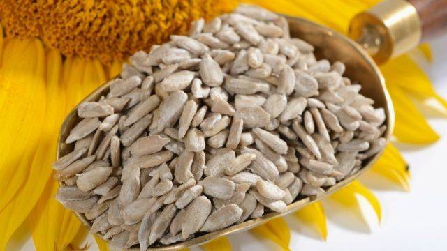 해바라기씨는 슈퍼푸드로 불릴 만큼 다양한 효능을 가지고 있다 | 출처: 클립아트코리아